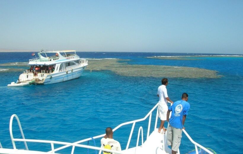 The Enchanting World of Dolphin House Snorkeling