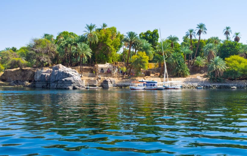 Unveiling the Gems of Aswan Botanical Garden