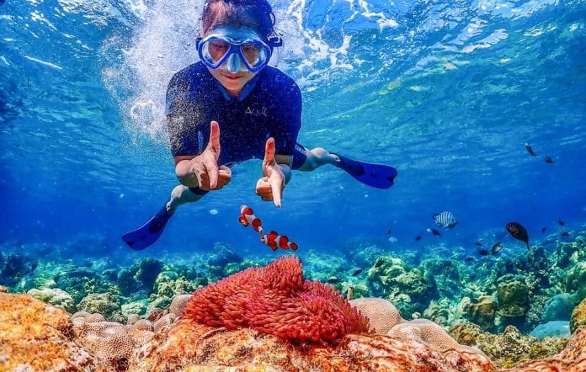 Discover The Best Snorkeling Spots On Paradise Island - Best Day Tours