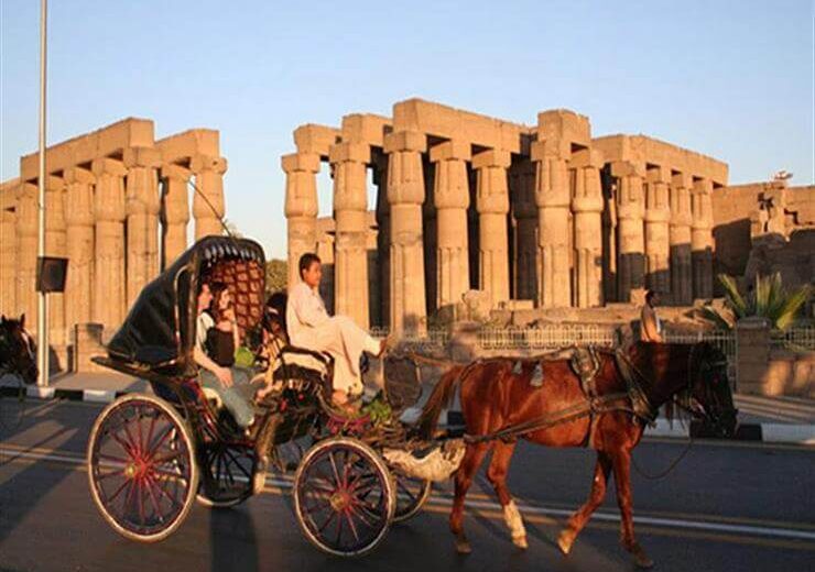 Delight in a 3-Hour Luxor Horse Carriage Tour