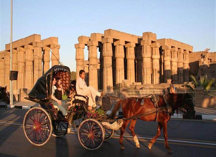 Luxor Horse Carriage