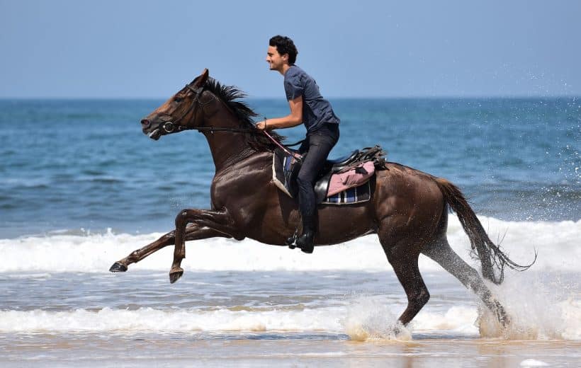 Exploring Hurghada-A Horse Ride Adventure