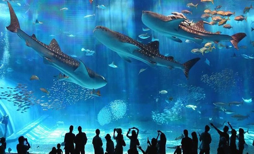 Get the Best Hurghada Grand Aquarium Tickets