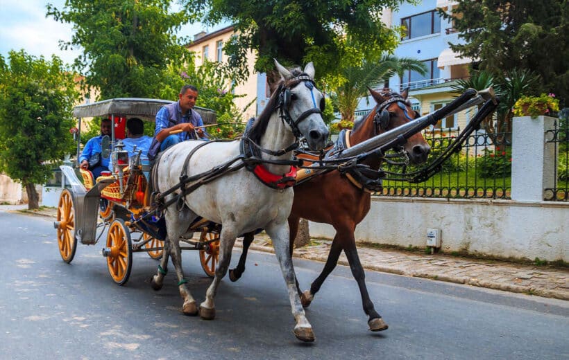 Discover Aswan's Scenic Beauty on a Horse Carriage Ride