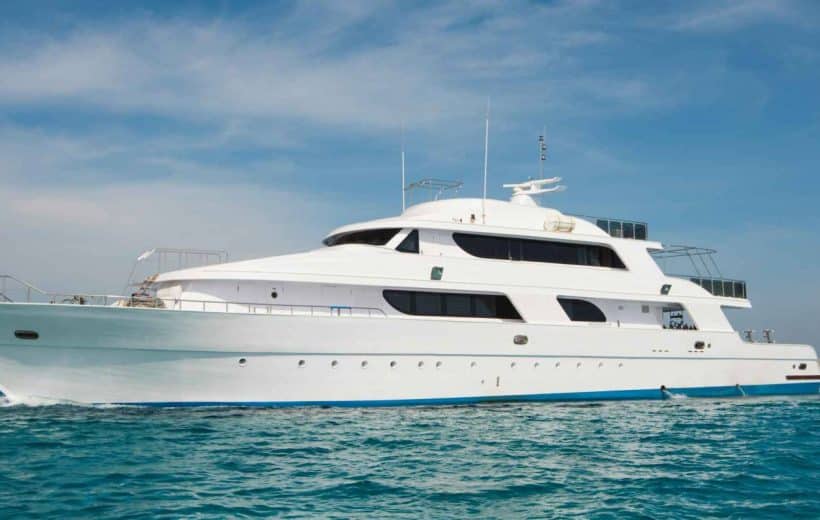 Book Now Dolphin House