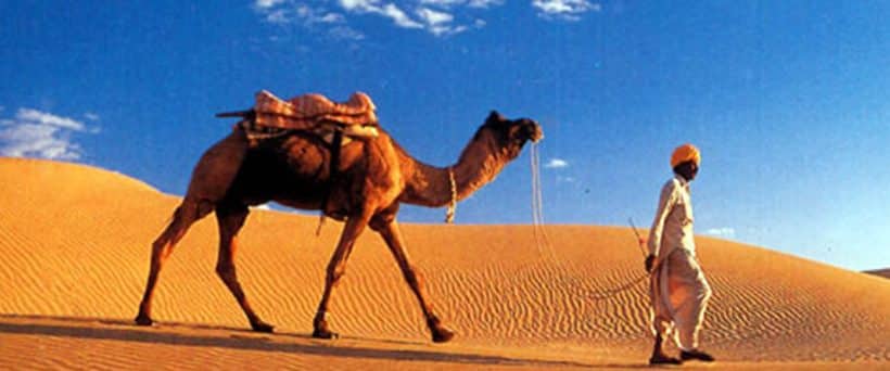 Camel ride& Dinner and Folklore show at Sharm el sheikh