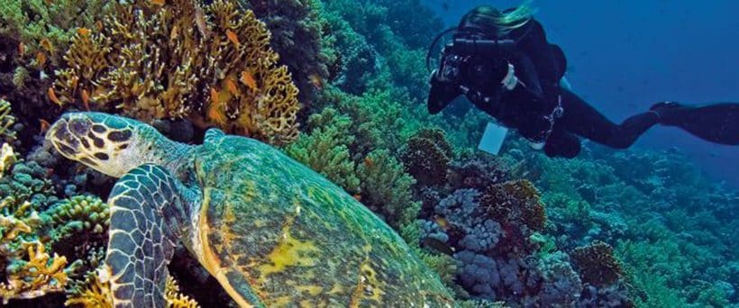 Pirates adventure program-Sailing Boat in Sharm el sheikh