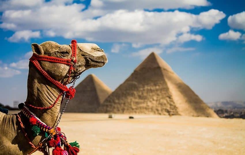 9 Days Cairo & Nile Cruise by Train