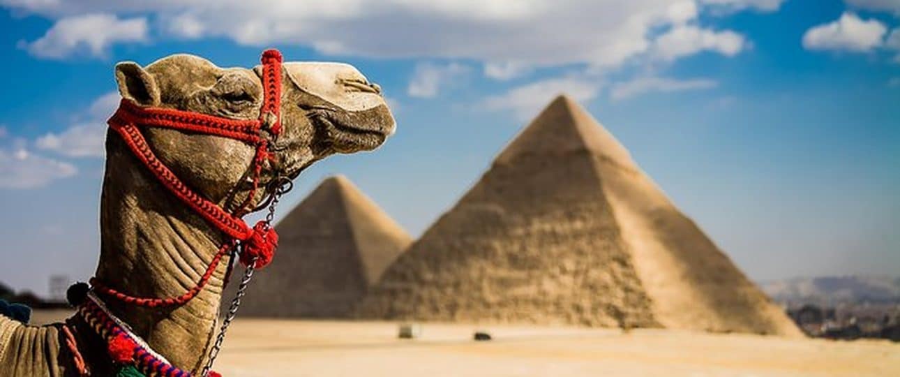 The pyramids 1 The pyramids