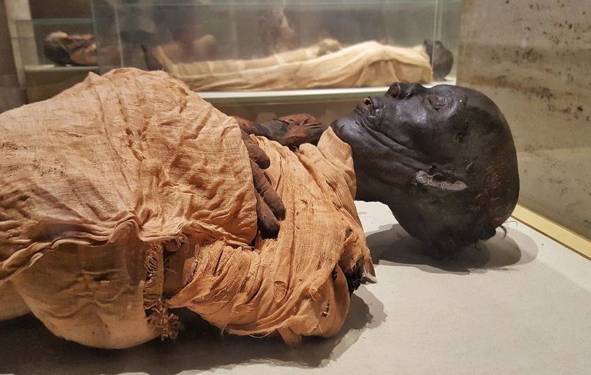 Discovering Egypt’s Treasures King Tut & Mummies 21 days