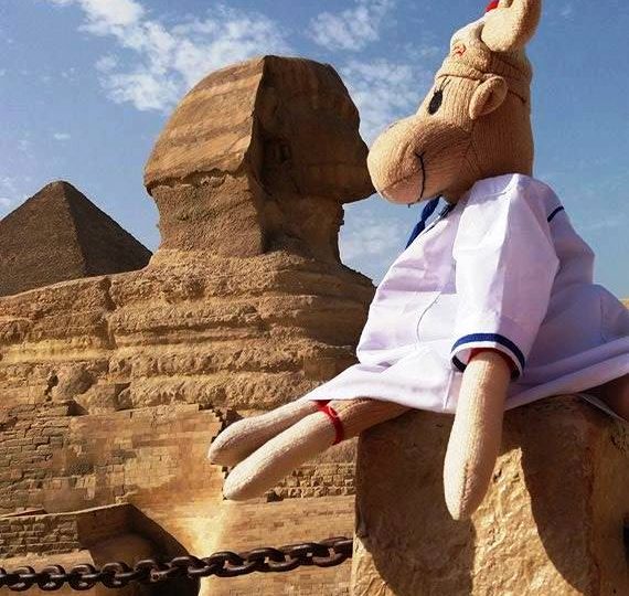 Discovering Egypt’s Treasures King Tut & Mummies