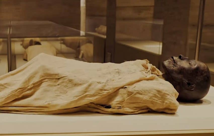 15 Days Archaeology lovers Cairo , Luxor, Aswan & Abu simbel