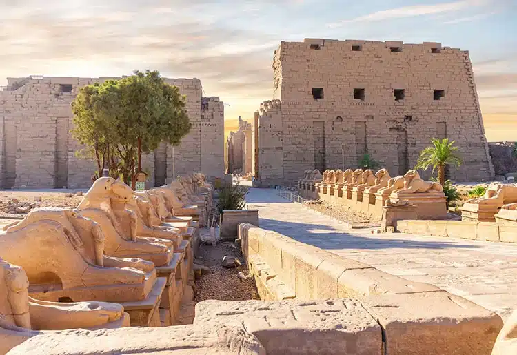 19 Days Cairo, Desert Safari to Luxor, Nile Cruise, Sharm El Sheikh & Alexandria
