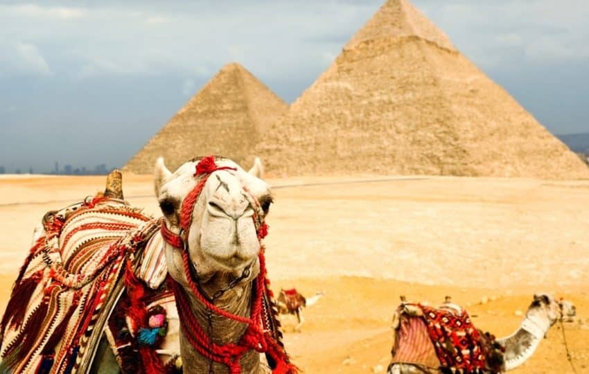 19 Days Cairo, Desert Safari to Luxor, Nile Cruise, Hurghada & Alexandria